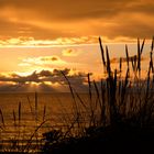 Abendstimmung auf Sylt