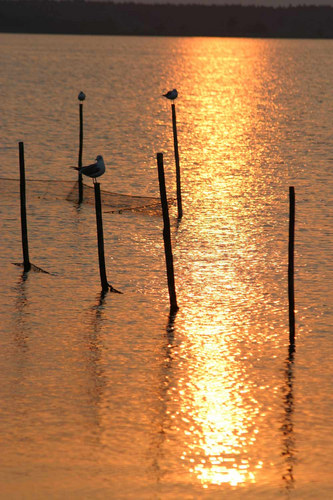 Abendstimmung auf Usedom