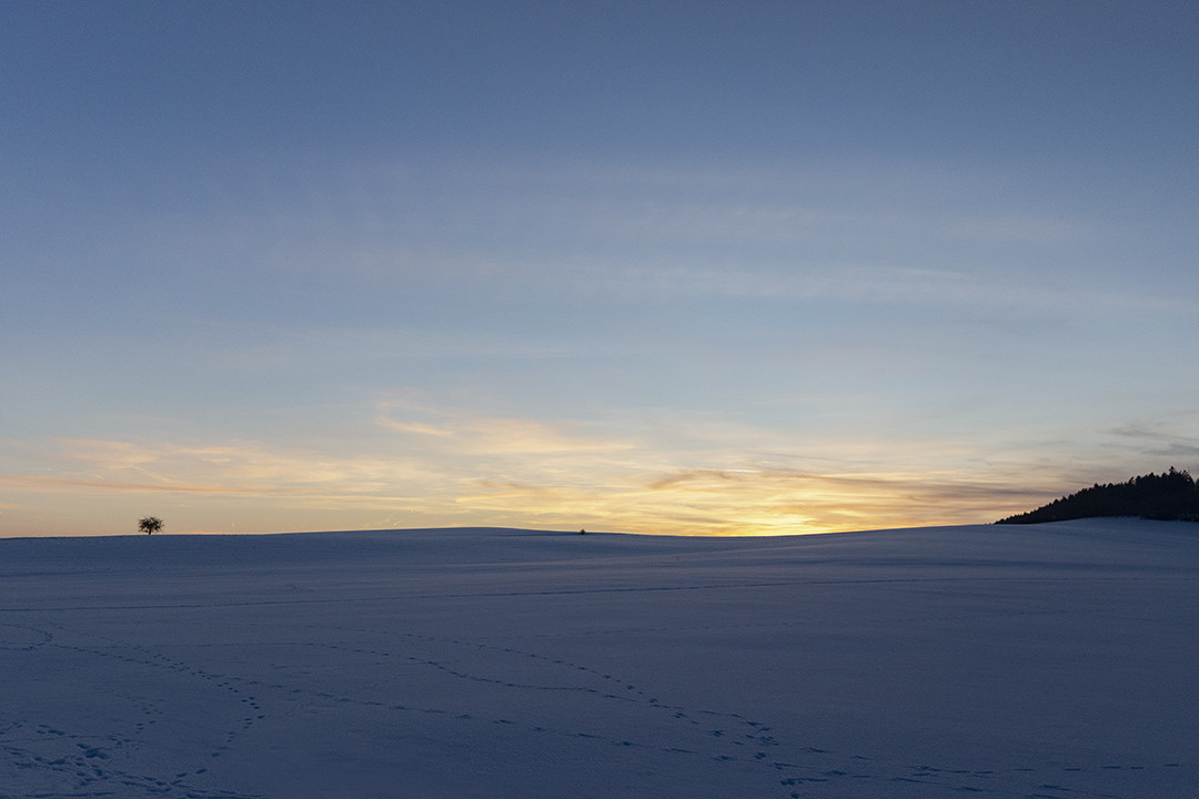 Abendstimmung auf Winterwiesen