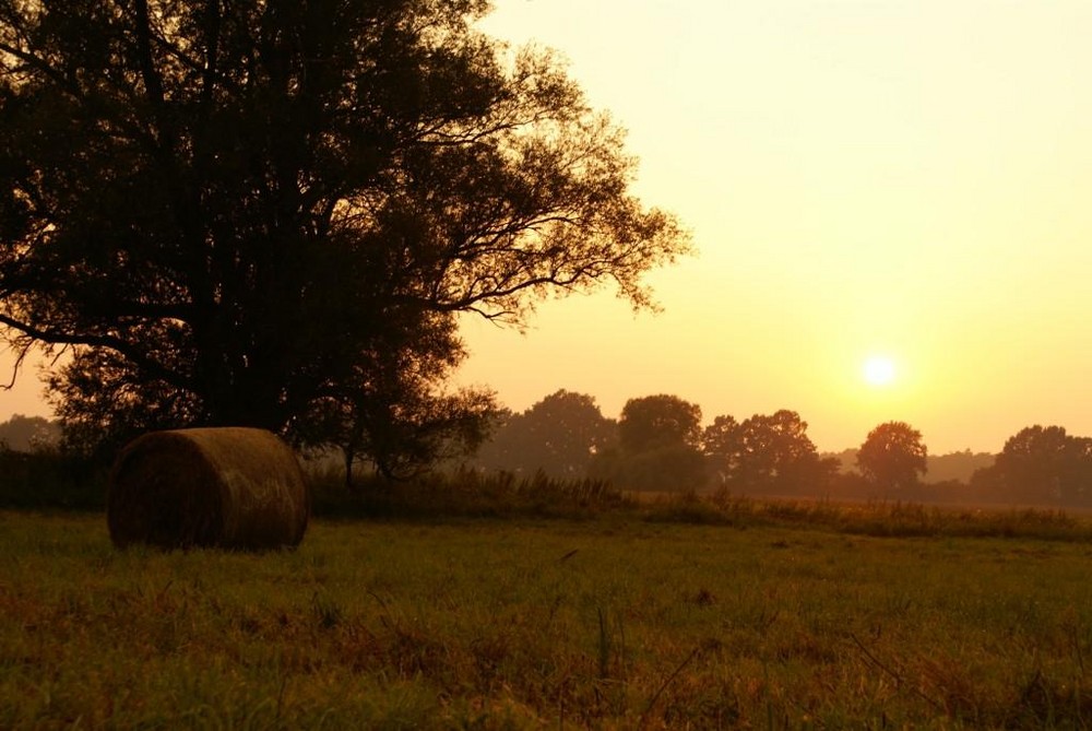 Abendstimmung