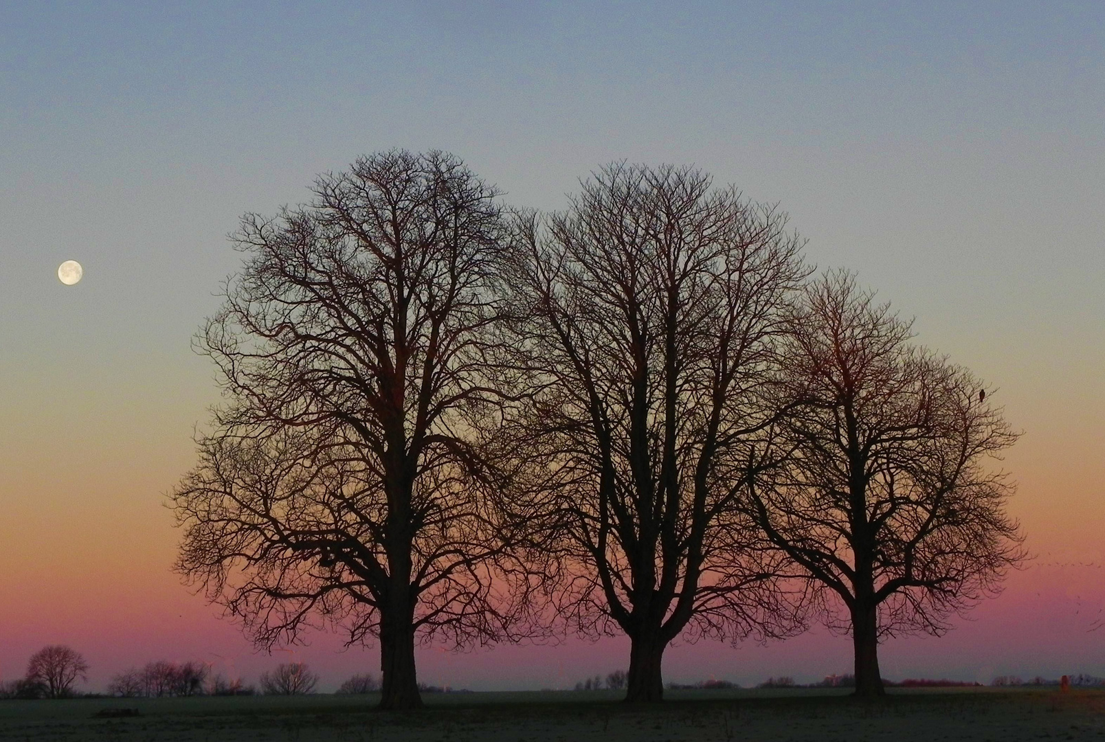 Abendstimmung