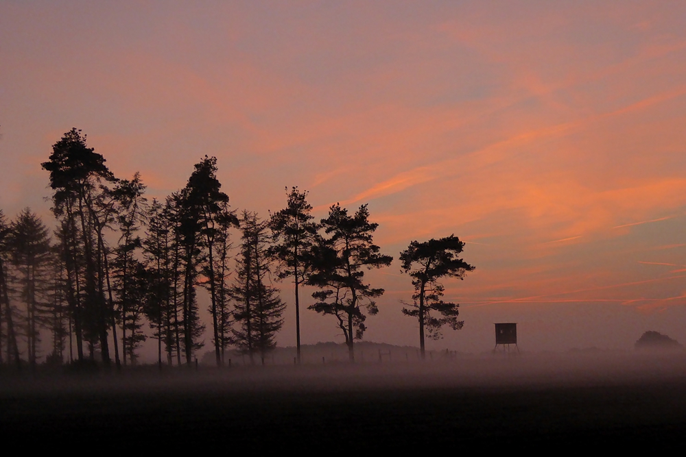 Abendstimmung