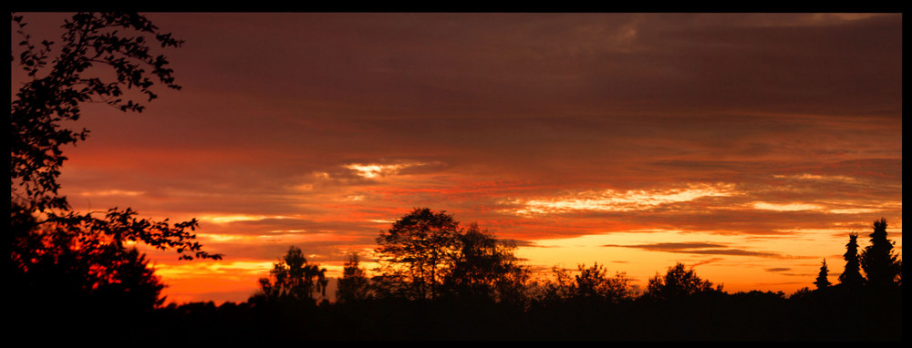 abendstimmung von Feldsalat 