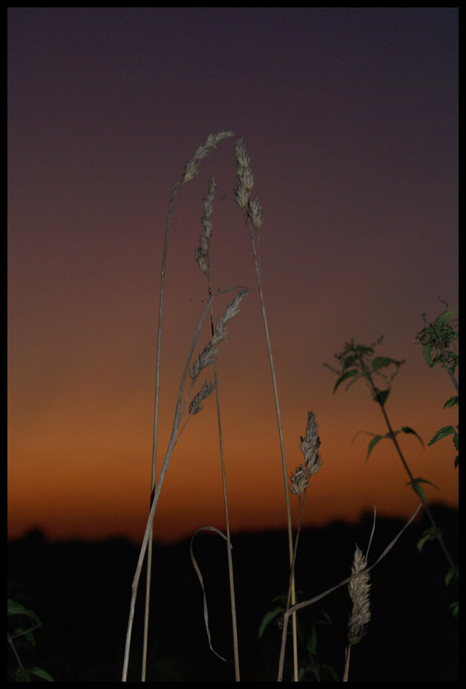 Abendstimmung