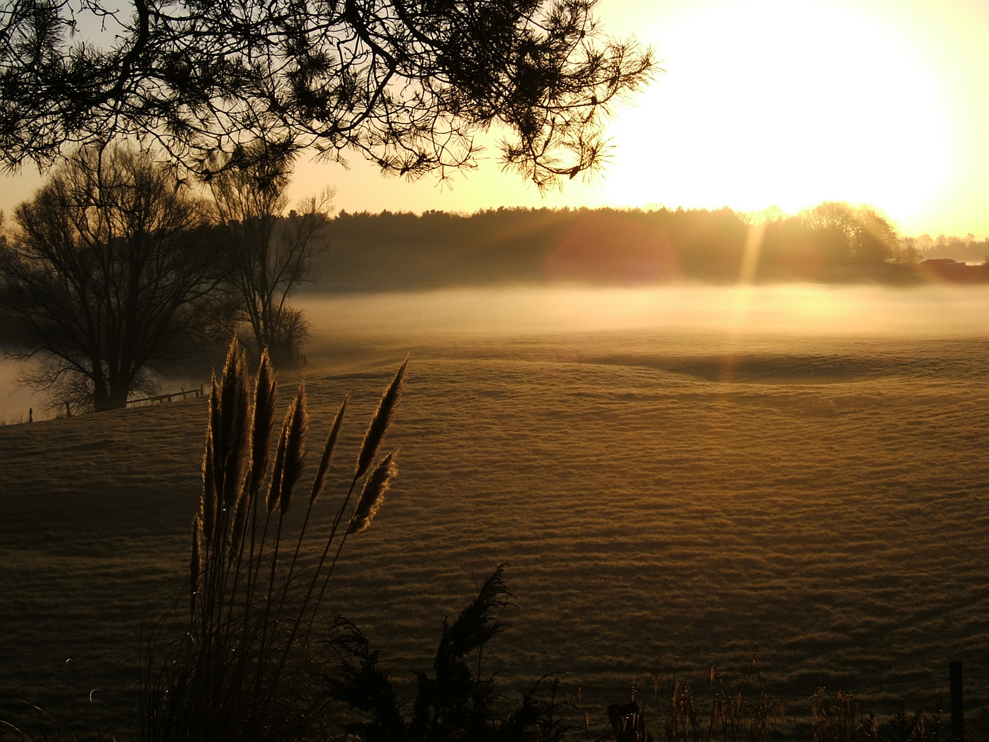 Abendstimmung 