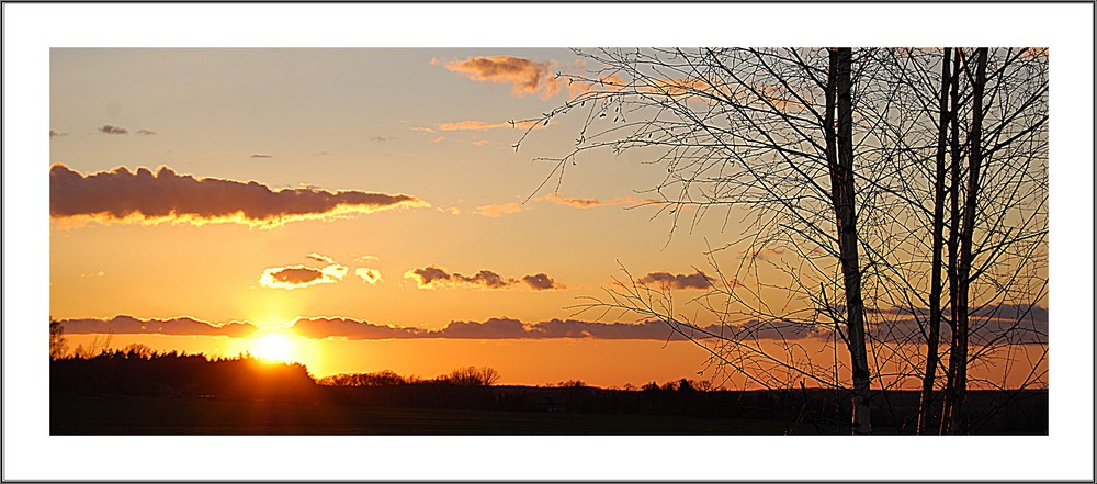 Abendstimmung Bad Muskau