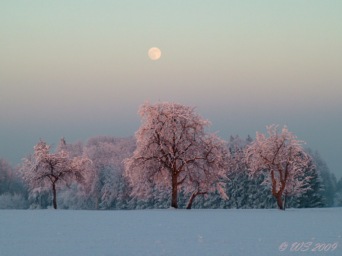 Abendstimmung bei -12°C