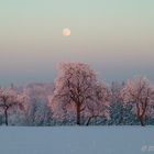 Abendstimmung bei -12°C