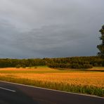 "Abendstimmung bei Altsteußlingen 1"