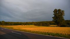 "Abendstimmung bei Altsteußlingen 1"