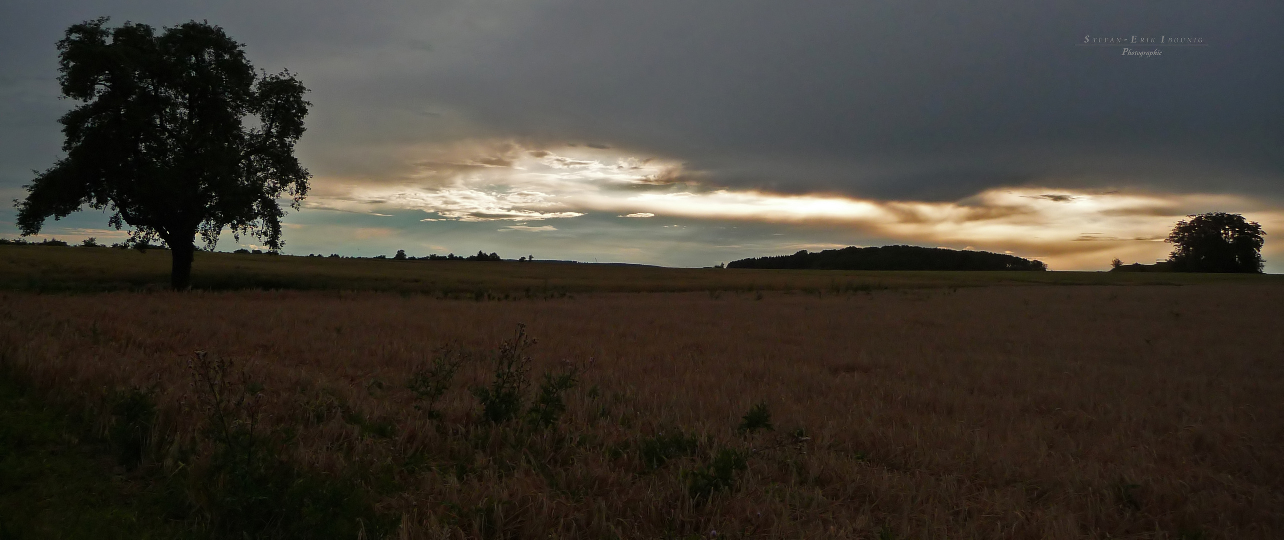 "Abendstimmung bei Altsteußlingen 3"