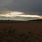 "Abendstimmung bei Altsteußlingen 3"