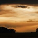 "Abendstimmung bei Altsteußlingen 4"