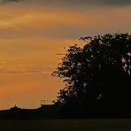 "Abendstimmung bei Altsteußlingen 5"