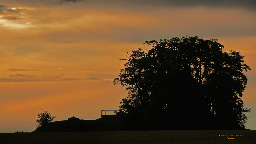 "Abendstimmung bei Altsteußlingen 5"