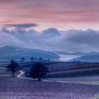 Abendstimmung bei Bad Bergzabern