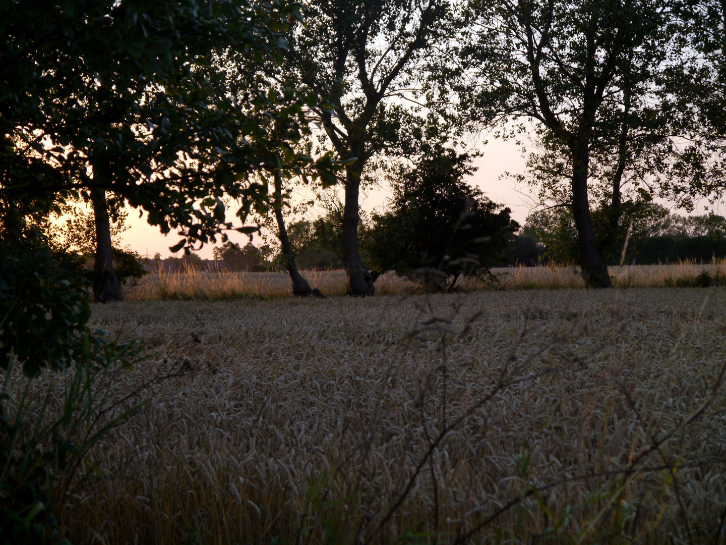 Abendstimmung bei Fehmarn 1