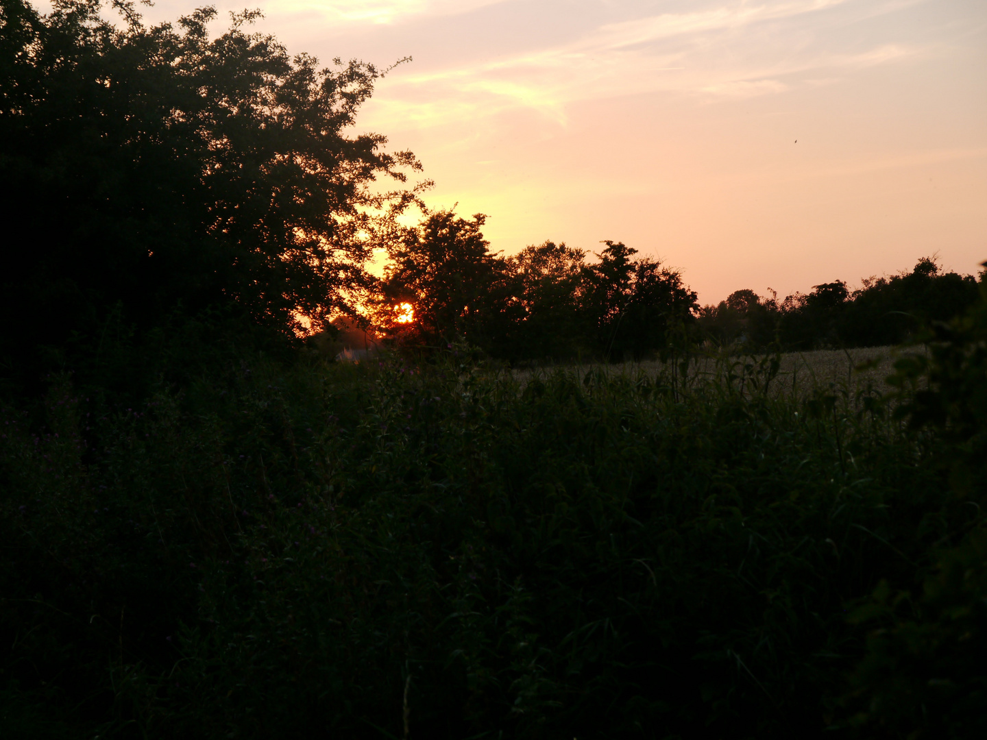 Abendstimmung bei Fehmarn 2