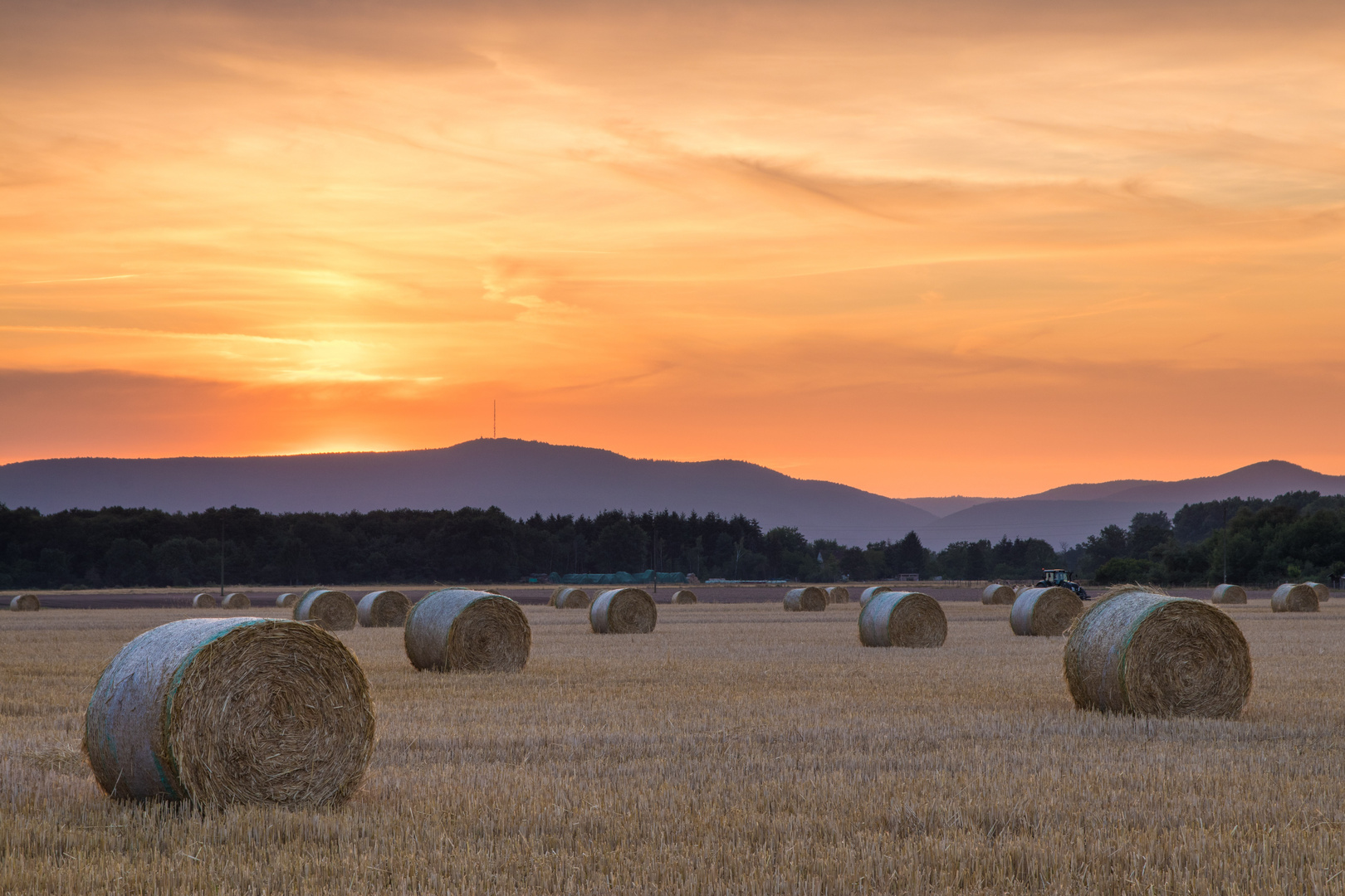 Abendstimmung bei Geinsheim