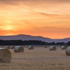 Abendstimmung bei Geinsheim