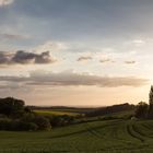 Abendstimmung bei Homberg (Ratingen)