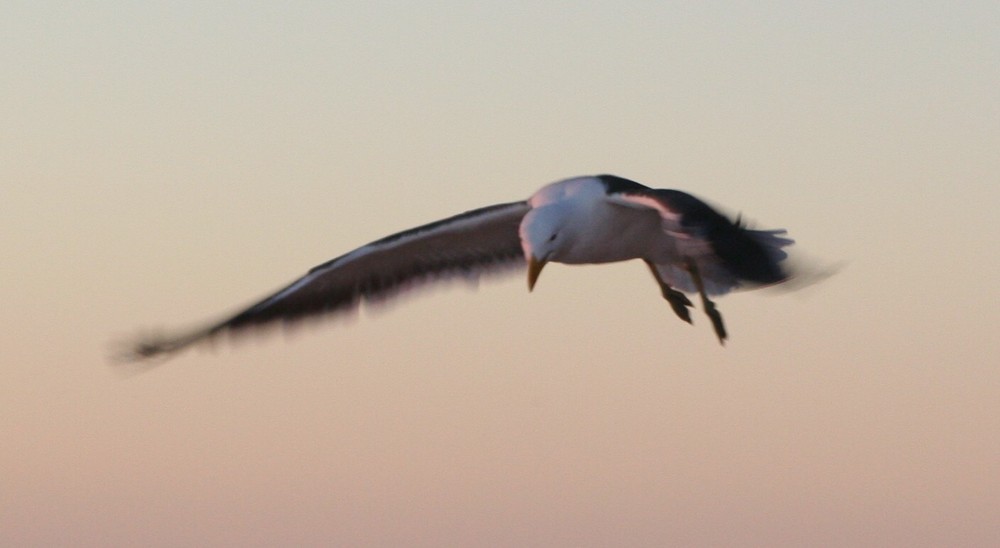 Abendstimmung bei Lamberts Bay