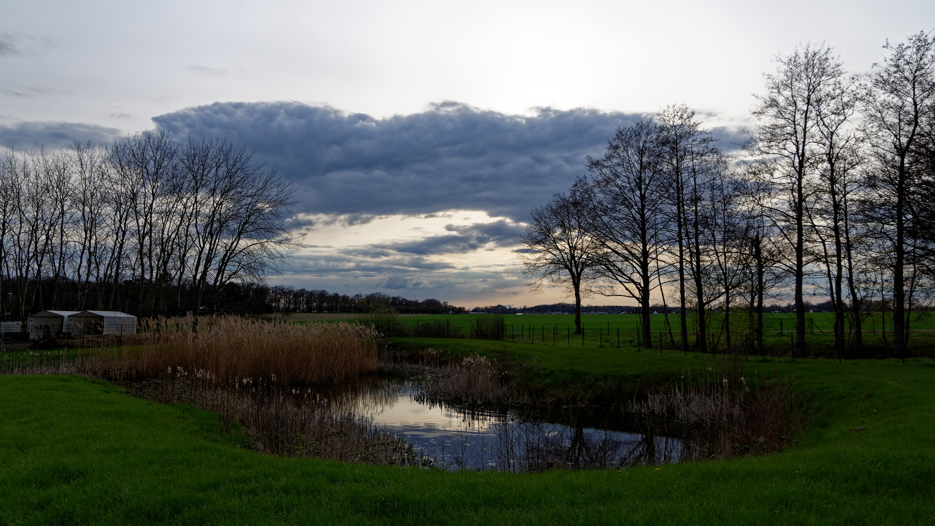 Abendstimmung bei Langwedel-Etelsen