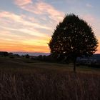 Abendstimmung bei mir zuhause