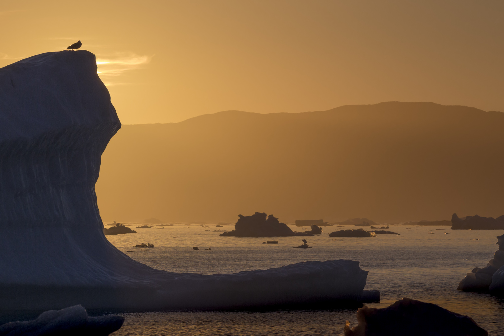 Abendstimmung bei Narsaq (2), Südgrönland