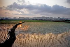 Abendstimmung bei Ninh Binh....