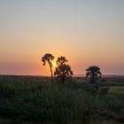 Abendstimmung bei Palmwag, Damaraland, Namibia