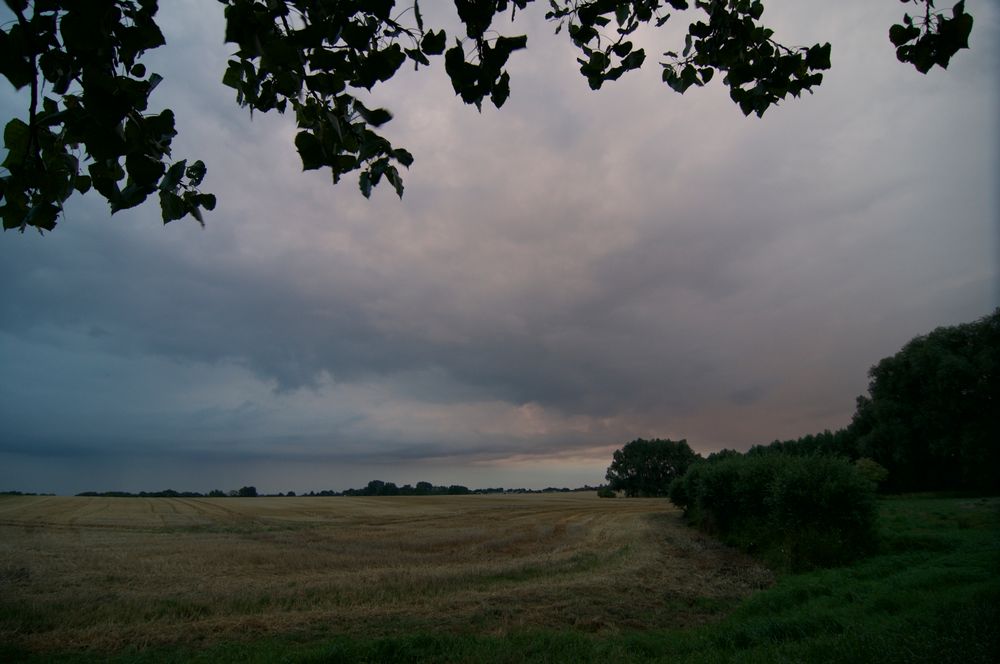 Abendstimmung bei Schabernack (Rügen)