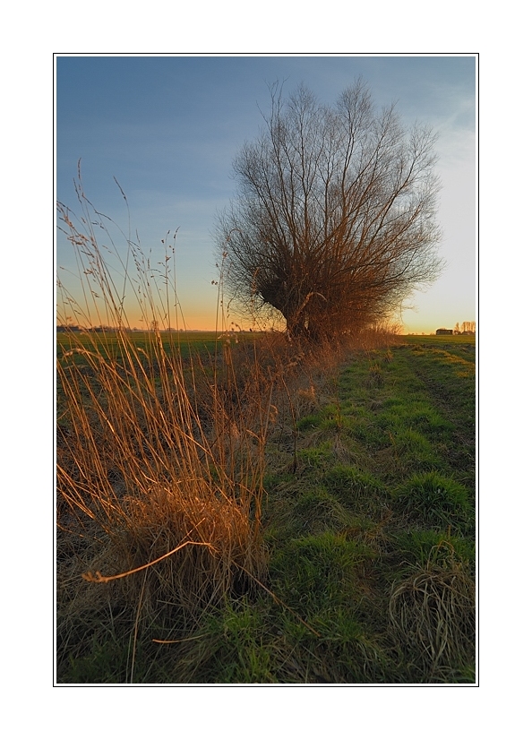 Abendstimmung bei Schmerlecke