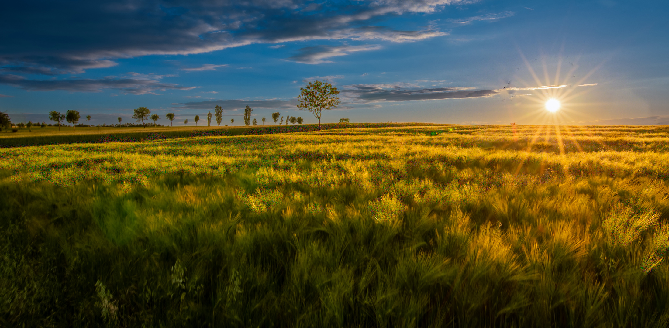 Abendstimmung bei Schönbach/Vogtland