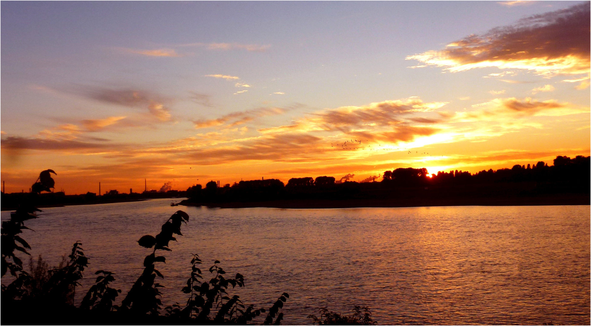 Abendstimmung bei uns am Rhein