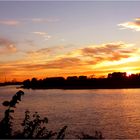 Abendstimmung bei uns am Rhein