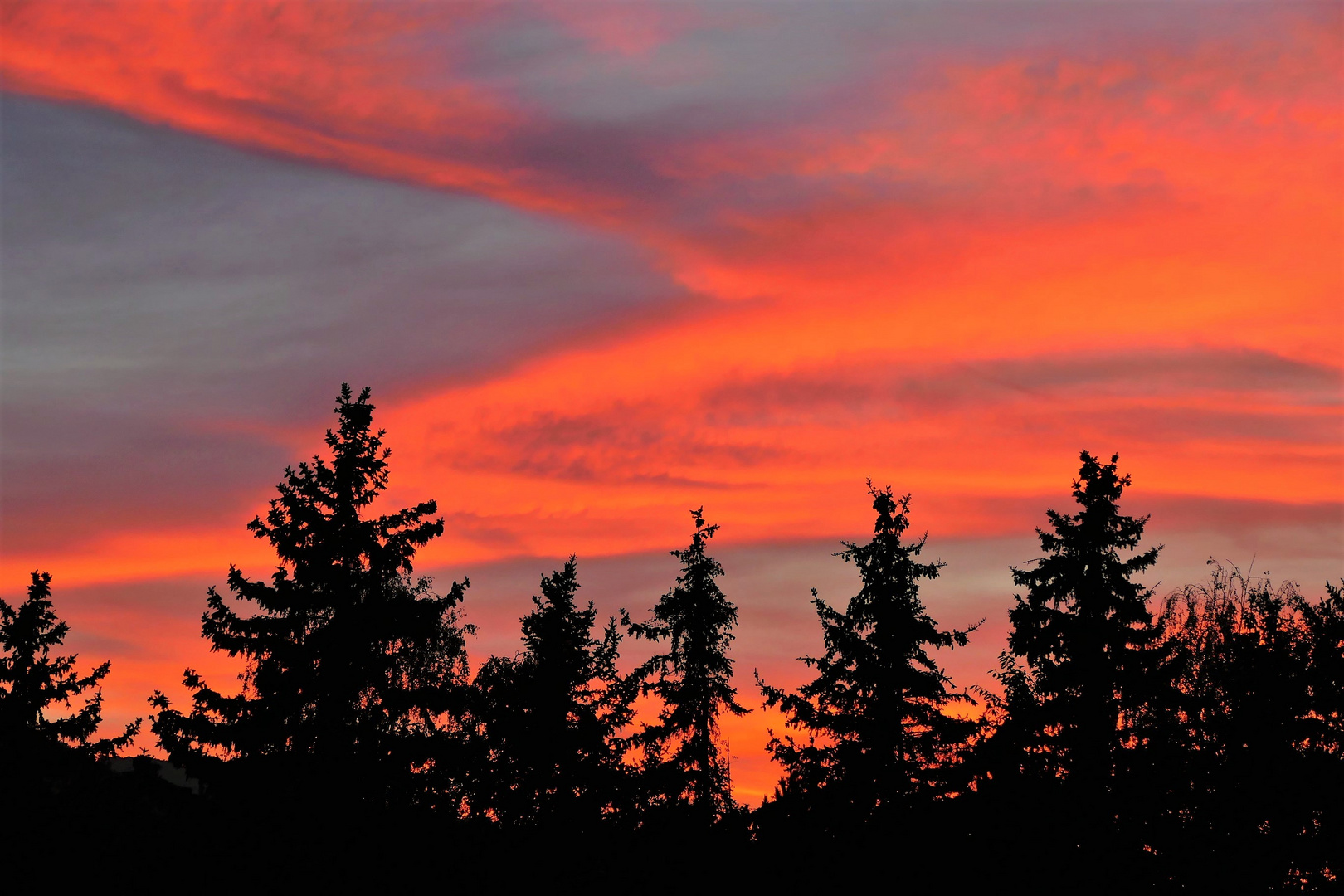 Abendstimmung bei uns zu Hause