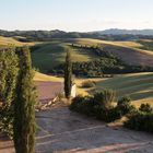 Abendstimmung bei Volterra