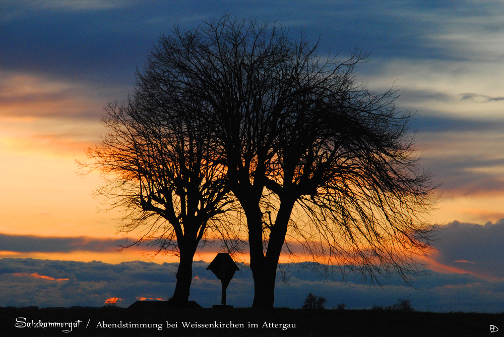 Abendstimmung bei Weissenkirchen