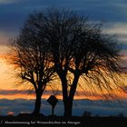 Abendstimmung bei Weissenkirchen