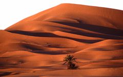 Abendstimmung beim Erg Chebbi