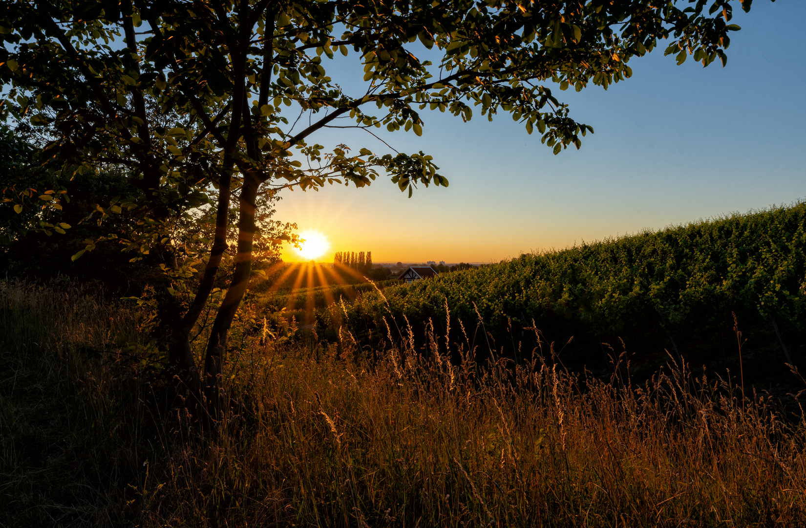 Abendstimmung Bergstrasse