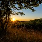 Abendstimmung Bergstrasse