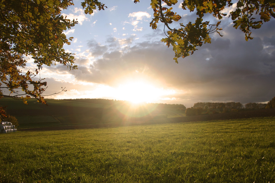 Abendstimmung