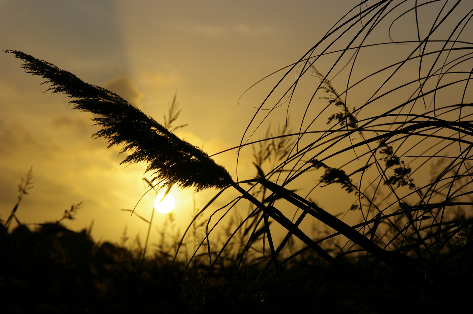 Abendstimmung