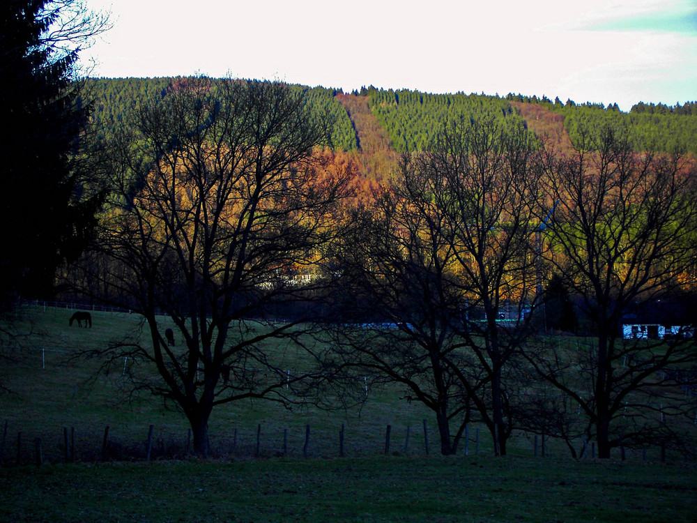 Abendstimmung