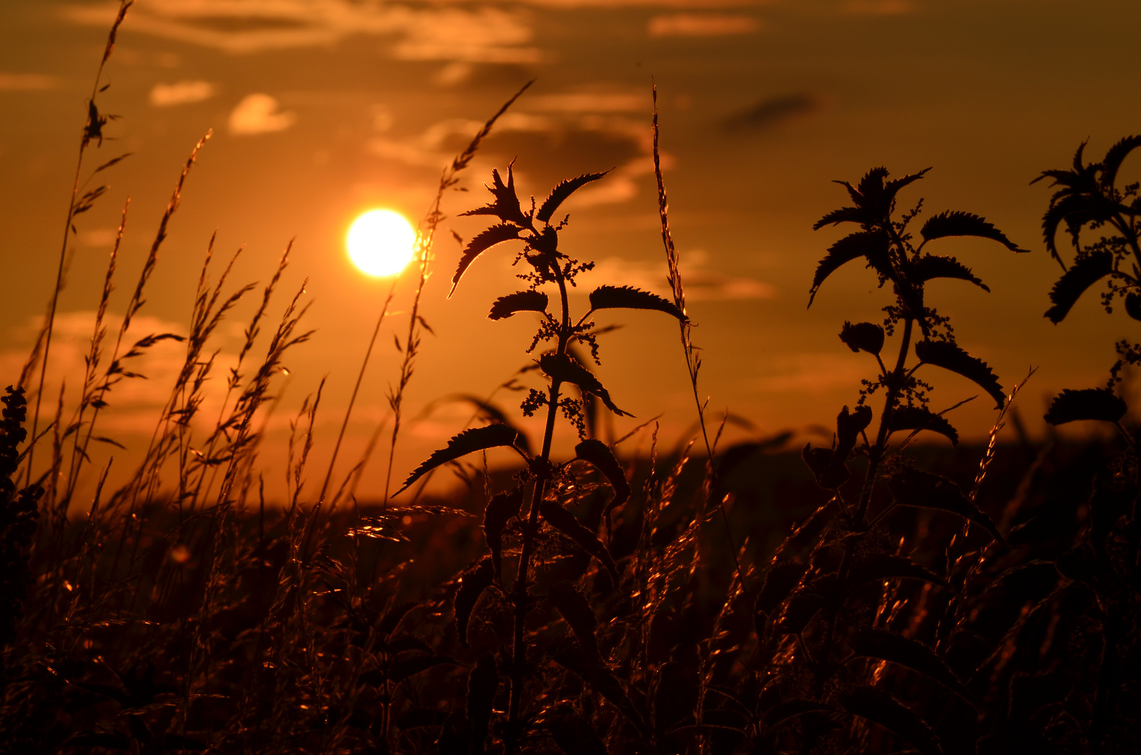 Abendbilder Natur: Eintauchen in die Magie der Abendstimmung