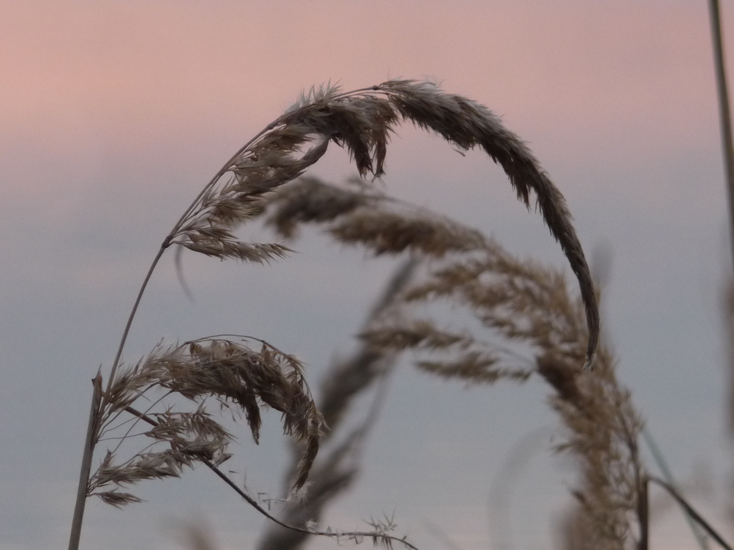 Abendstimmung