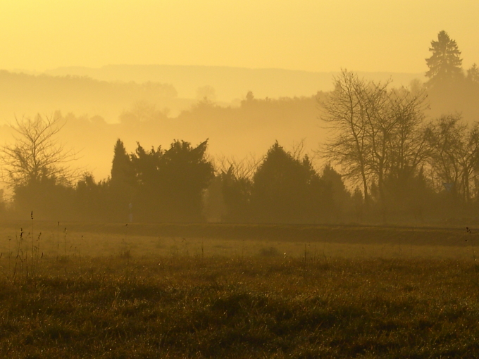 Abendstimmung