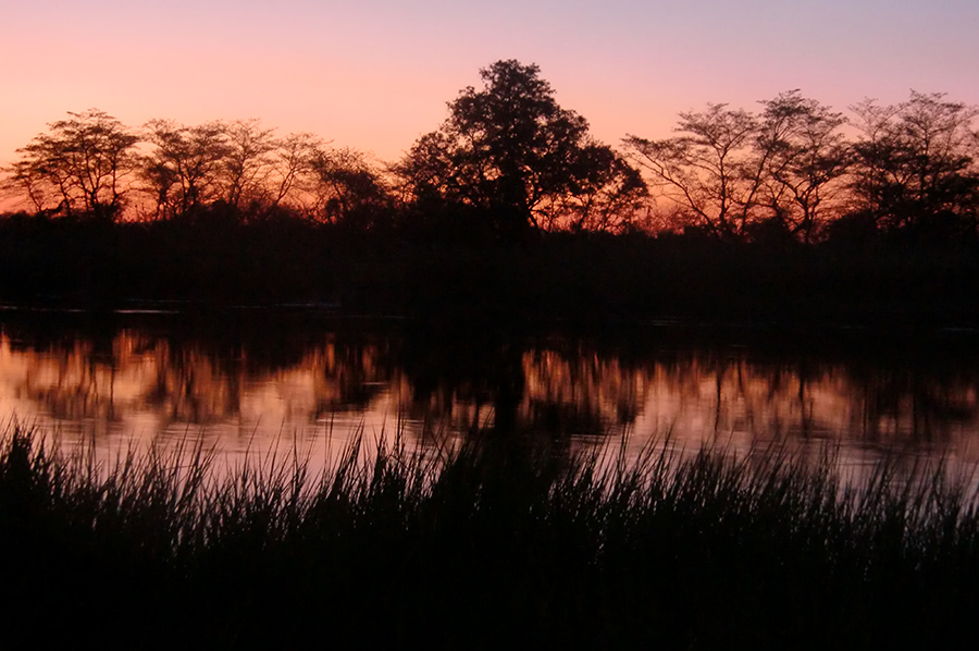 Abendstimmung Chobe River 08.10.2009.jpg